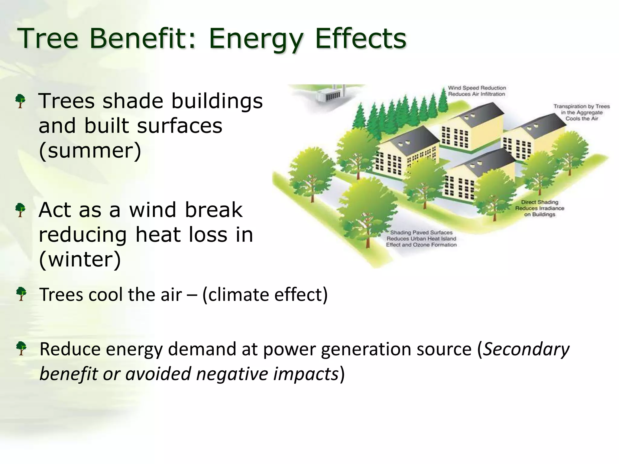 Tree Benefit: Energy Effects
Trees shade buildings
and built surfaces
(summer)
Act as a wind break
reducing heat loss in
(winter)
Trees cool the air – (climate effect)
Reduce energy demand at power generation source (Secondary
benefit or avoided negative impacts)
 