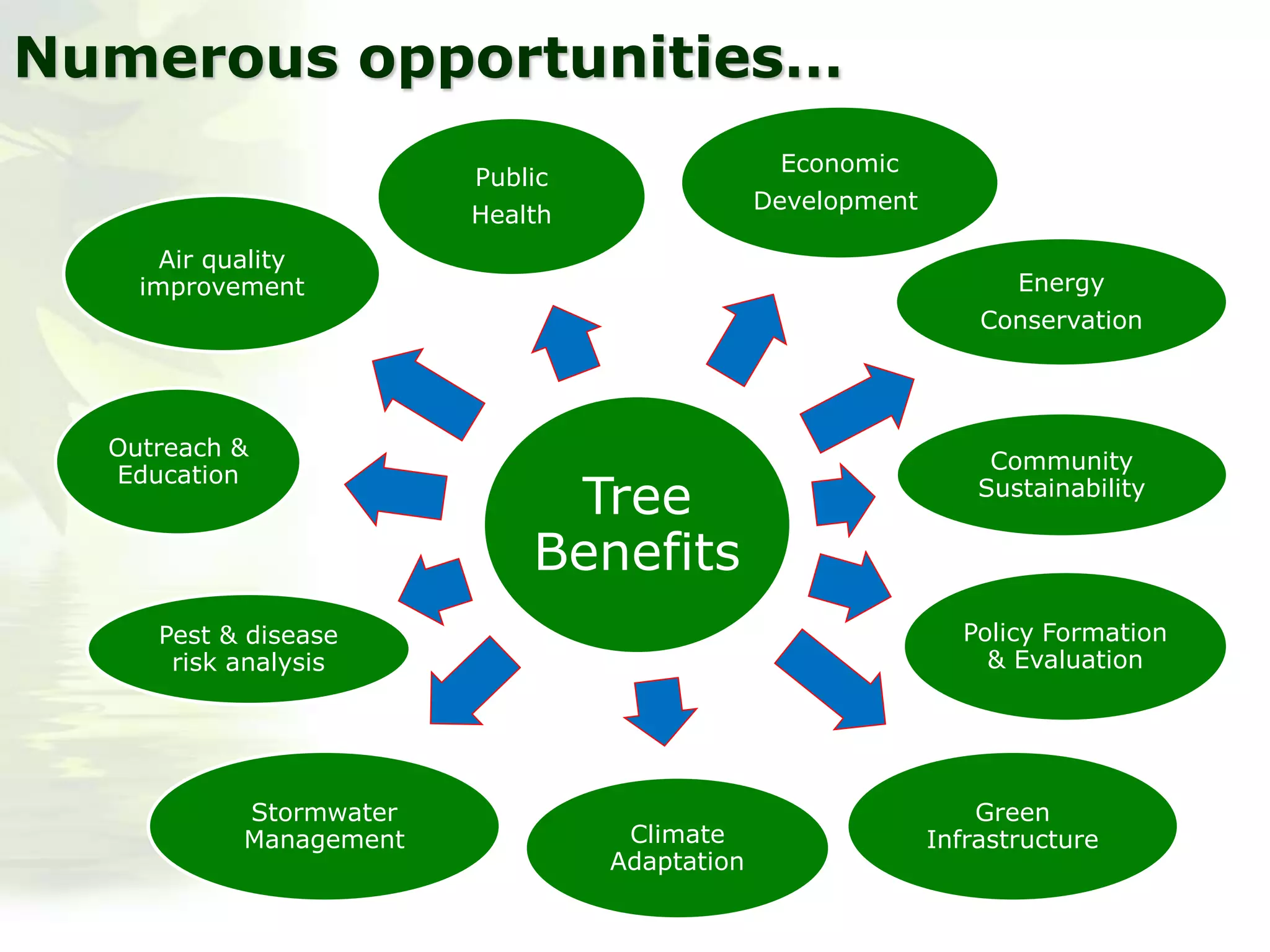 Tree
Benefits
Public
Health
Energy
Conservation
Outreach &
Education
Pest & disease
risk analysis
Community
Sustainability
Policy Formation
& Evaluation
Economic
Development
Stormwater
Management Climate
Adaptation
Green
Infrastructure
Air quality
improvement
Numerous opportunities…
 