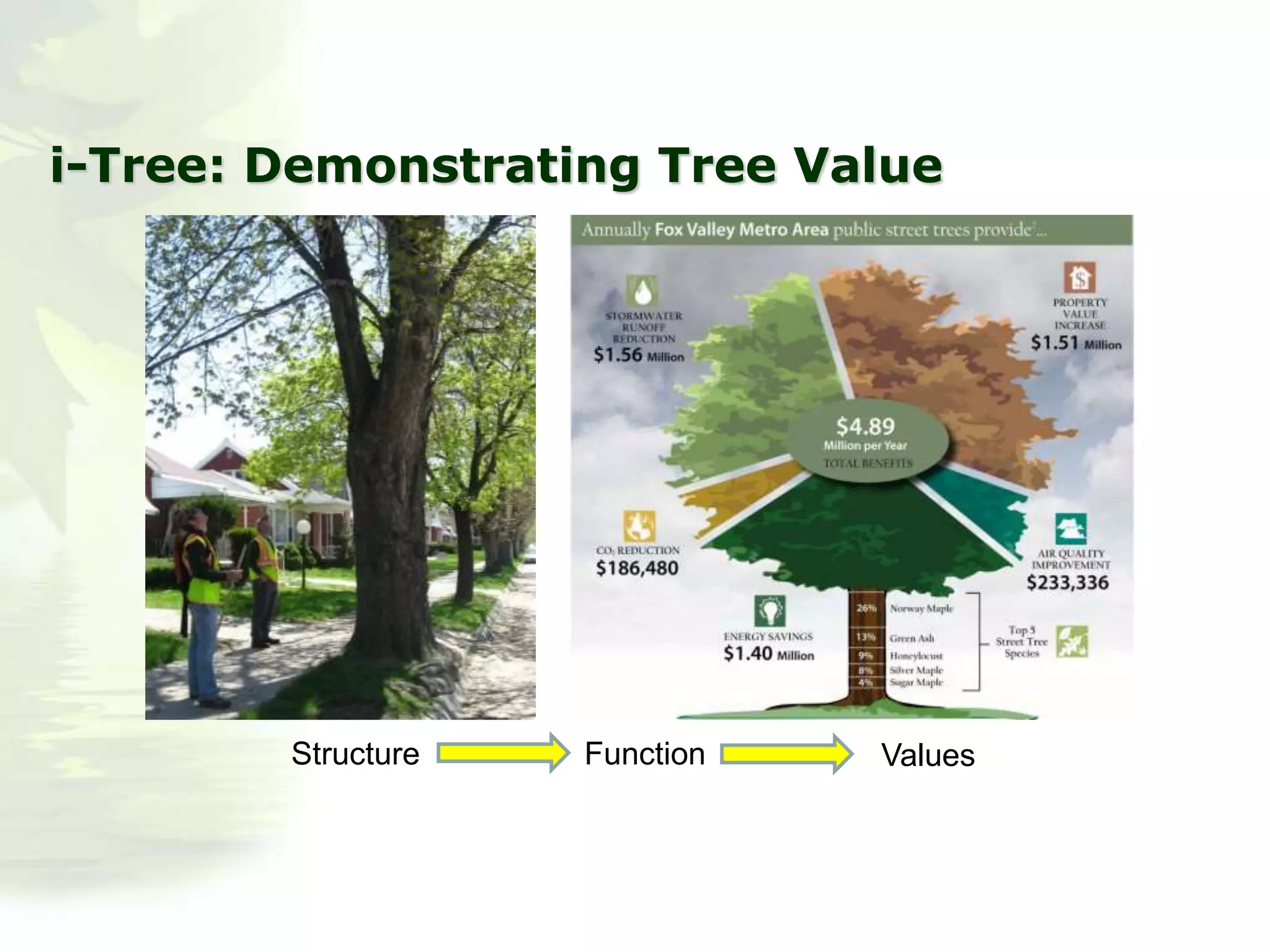 i-Tree: Demonstrating Tree Value
Structure Function Values
 