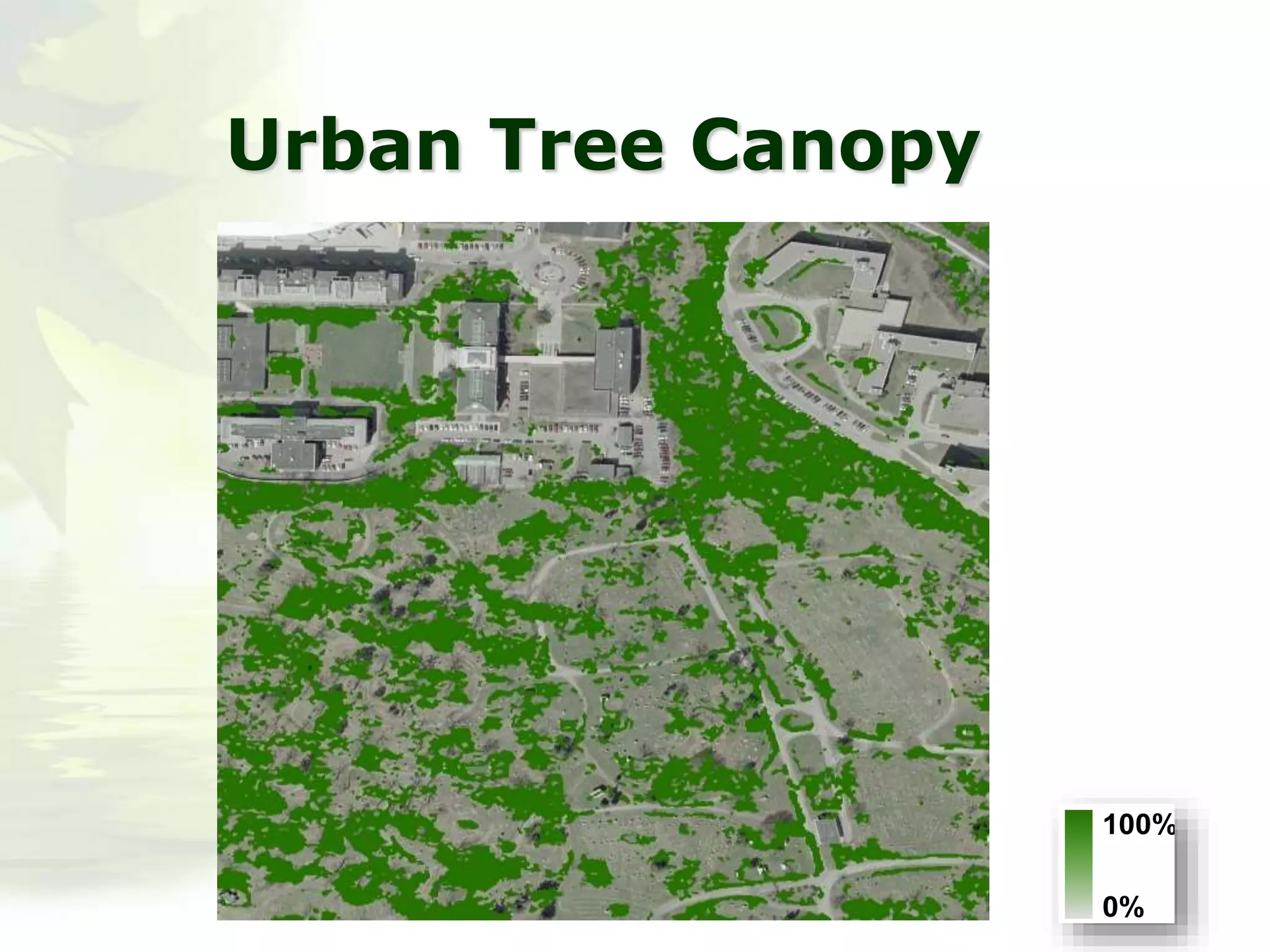 Urban Tree Canopy
100%
0%
 