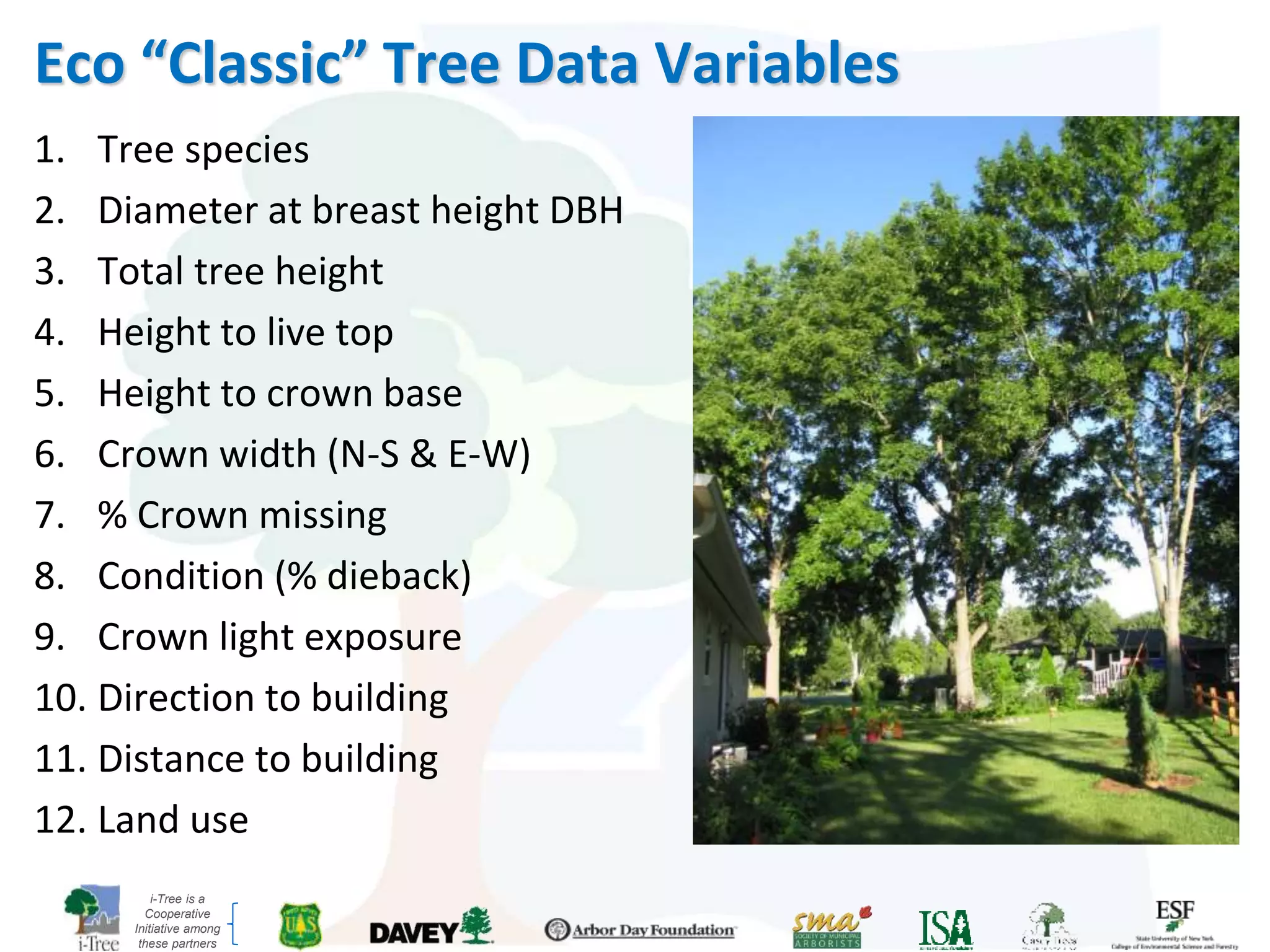 i-Tree is a
Cooperative
Initiative among
these partners
Eco “Classic” Tree Data Variables
1. Tree species
2. Diameter at breast height DBH
3. Total tree height
4. Height to live top
5. Height to crown base
6. Crown width (N-S & E-W)
7. % Crown missing
8. Condition (% dieback)
9. Crown light exposure
10. Direction to building
11. Distance to building
12. Land use
 