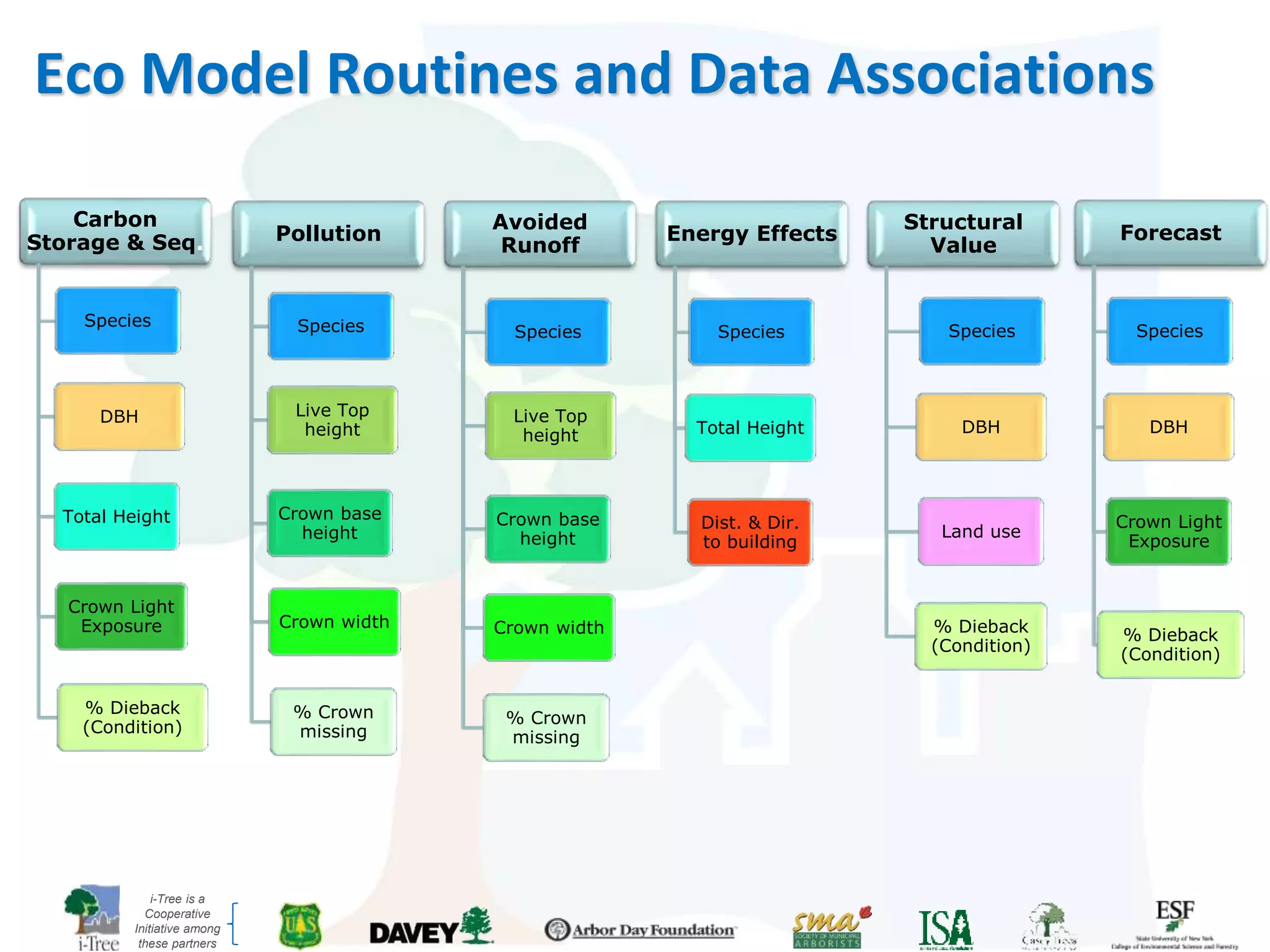 i-Tree is a
Cooperative
Initiative among
these partners
Carbon
Storage & Seq.
Species
DBH
Total Height
Crown Light
Exposure
% Dieback
(Condition)
Pollution
Species
Live Top
height
Crown base
height
Crown width
% Crown
missing
Avoided
Runoff
Species
Live Top
height
Crown base
height
Crown width
% Crown
missing
Energy Effects
Species
Total Height
Dist. & Dir.
to building
Structural
Value
Species
DBH
Land use
% Dieback
(Condition)
Forecast
Species
DBH
Crown Light
Exposure
% Dieback
(Condition)
Eco Model Routines and Data Associations
 