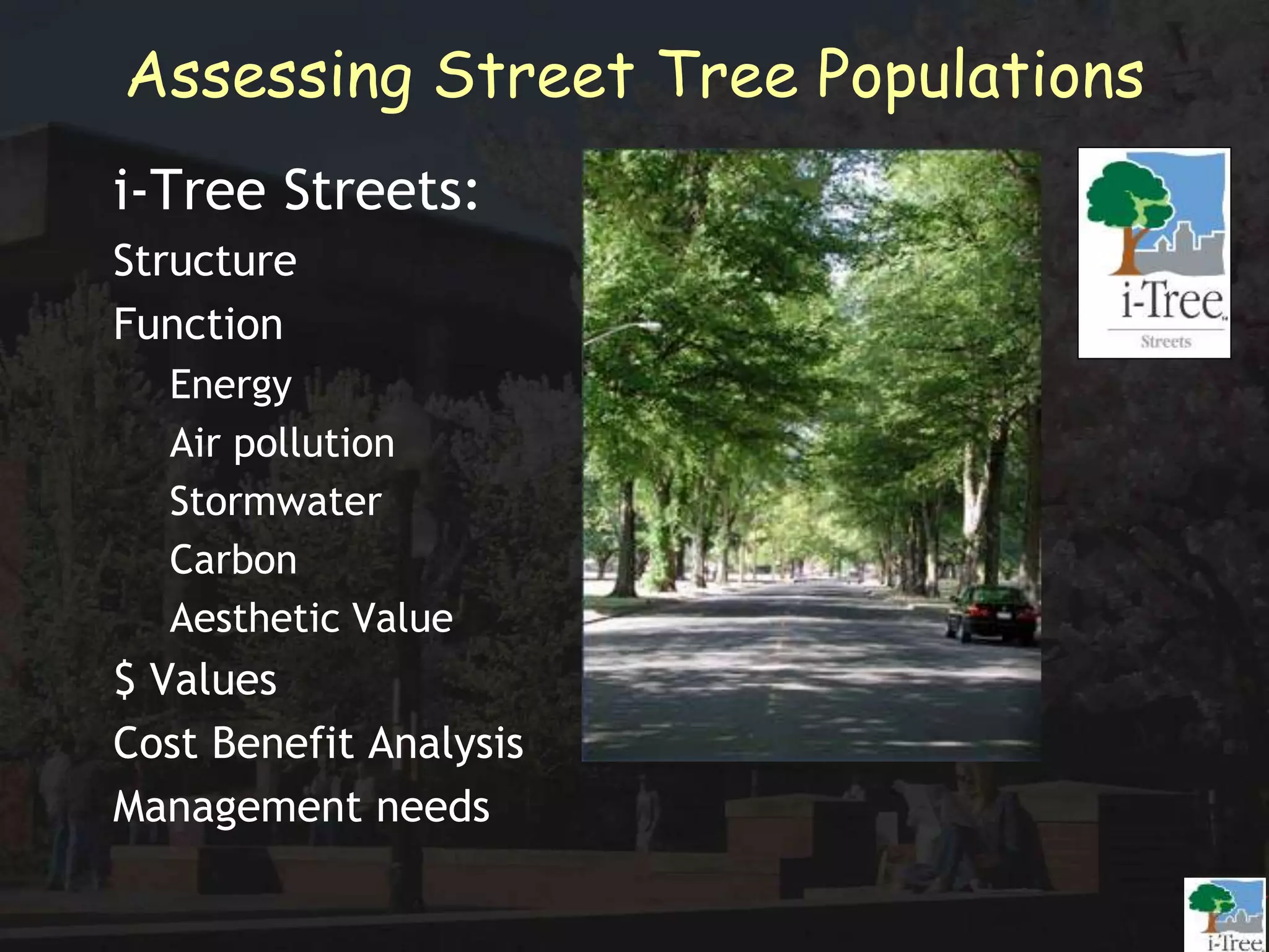 Assessing Street Tree Populations
i-Tree Streets:
Structure
Function
Energy
Air pollution
Stormwater
Carbon
Aesthetic Value
$ Values
Cost Benefit Analysis
Management needs
 