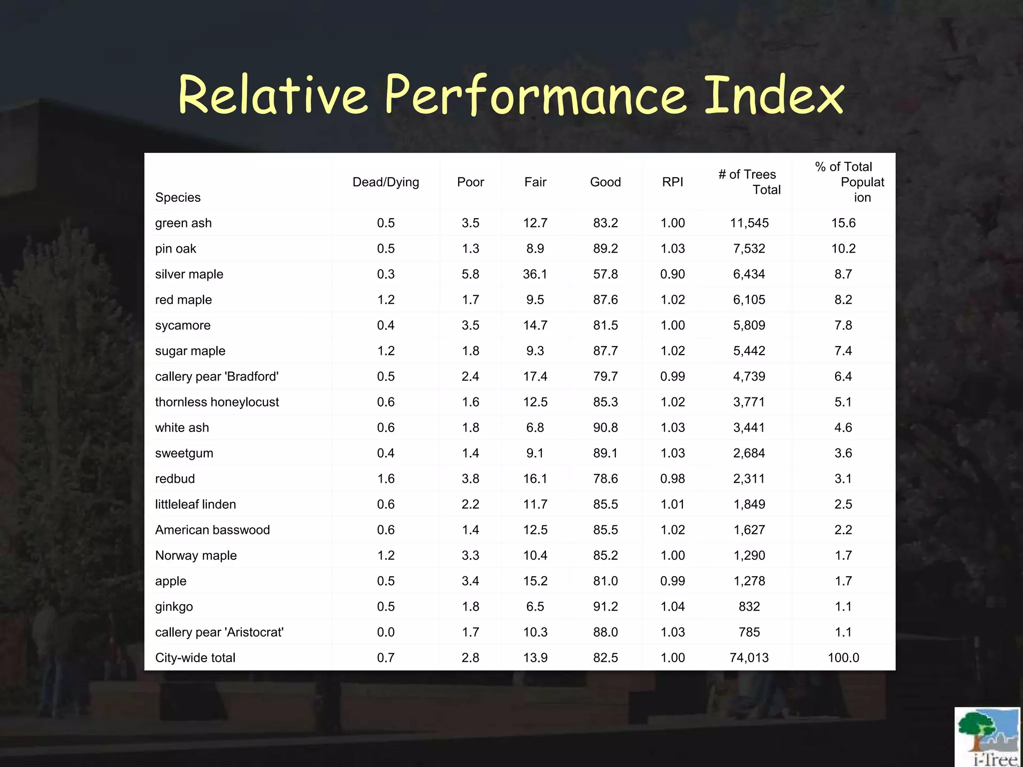 Relative Performance Index
Species
Dead/Dying Poor Fair Good RPI
# of Trees
Total
% of Total
Populat
ion
green ash 0.5 3.5 12.7 83.2 1.00 11,545 15.6
pin oak 0.5 1.3 8.9 89.2 1.03 7,532 10.2
silver maple 0.3 5.8 36.1 57.8 0.90 6,434 8.7
red maple 1.2 1.7 9.5 87.6 1.02 6,105 8.2
sycamore 0.4 3.5 14.7 81.5 1.00 5,809 7.8
sugar maple 1.2 1.8 9.3 87.7 1.02 5,442 7.4
callery pear 'Bradford' 0.5 2.4 17.4 79.7 0.99 4,739 6.4
thornless honeylocust 0.6 1.6 12.5 85.3 1.02 3,771 5.1
white ash 0.6 1.8 6.8 90.8 1.03 3,441 4.6
sweetgum 0.4 1.4 9.1 89.1 1.03 2,684 3.6
redbud 1.6 3.8 16.1 78.6 0.98 2,311 3.1
littleleaf linden 0.6 2.2 11.7 85.5 1.01 1,849 2.5
American basswood 0.6 1.4 12.5 85.5 1.02 1,627 2.2
Norway maple 1.2 3.3 10.4 85.2 1.00 1,290 1.7
apple 0.5 3.4 15.2 81.0 0.99 1,278 1.7
ginkgo 0.5 1.8 6.5 91.2 1.04 832 1.1
callery pear 'Aristocrat' 0.0 1.7 10.3 88.0 1.03 785 1.1
City-wide total 0.7 2.8 13.9 82.5 1.00 74,013 100.0
 