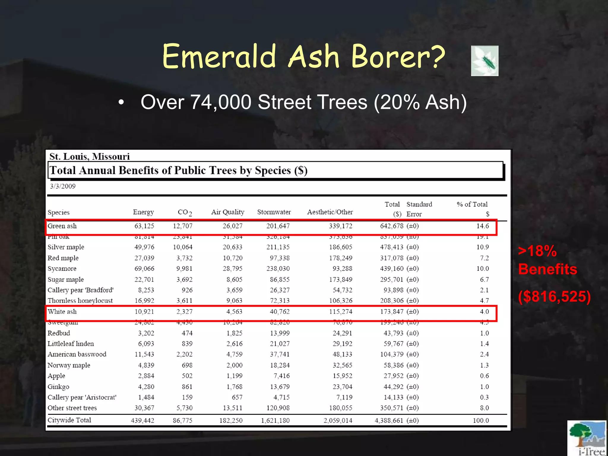Emerald Ash Borer?
>18%
Benefits
($816,525)
• Over 74,000 Street Trees (20% Ash)
 