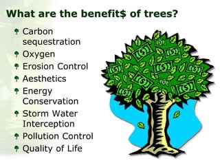 What are the benefit$ of trees?
Carbon
sequestration
Oxygen
Erosion Control
Aesthetics
Energy
Conservation
Storm Water
Interception
Pollution Control
Quality of Life
 