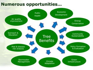 Tree
Benefits
Public
Health
Energy
Conservation
Outreach &
Education
Pest & disease
risk analysis
Community
Sustainability
Policy Formation
& Evaluation
Economic
Development
Stormwater
Management Climate
Adaptation
Green
Infrastructure
Air quality
improvement
Numerous opportunities…
 