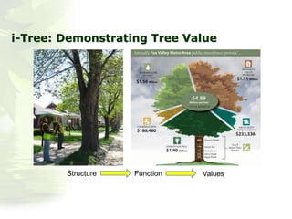 i-Tree: Demonstrating Tree Value
Structure Function Values
 