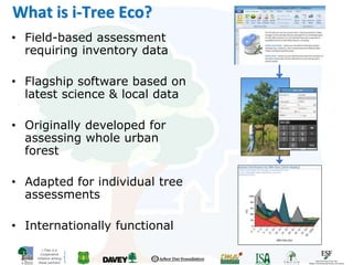 i-Tree is a
Cooperative
Initiative among
these partners
What is i-Tree Eco?
• Field-based assessment
requiring inventory data
• Flagship software based on
latest science & local data
• Originally developed for
assessing whole urban
forest
• Adapted for individual tree
assessments
• Internationally functional
 