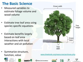 i-Tree is a
Cooperative
Initiative among
these partners
The Basic Science
• Measured variables to
estimate foliage volume and
wood volume
• Estimate tree leaf area using
species specific equations
• Estimate benefits largely
based on leaf area
interactions with local
weather and air pollution
• Summarize structure,
function, value
Tree
height
Crown width
Crown
base
Tree
DBH
www.itreetools.org/resources/archives.php
 