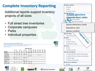 i-Tree is a
Cooperative
Initiative among
these partners
Complete Inventory Reporting
Additional reports support inventory
projects of all sizes
• Full street tree inventories
• Corporate campuses
• Parks
• Individual properties
Forest structure
reports from older
Eco
 