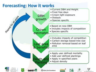 i-Tree is a
Cooperative
Initiative among
these partners
Forecasting: How it works
DBH
growth
• Current DBH and Height
• Frost free days
• Crown light exposure
• Dieback
• Species specific
Crown
estimates
• Based on new DBH
• Includes impacts of competition
• Species specific
Leaf area
& benefits
• Includes impacts of competition
• Carbon storage based tree size
• Pollution removal based on leaf
area
Death and
Planting
• Apply user defined mortality
• Add user defined plantings
• Apply in specified years
• Adjust density
 