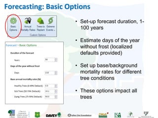 i-Tree is a
Cooperative
Initiative among
these partners
Forecasting: Basic Options
• Set-up forecast duration, 1-
100 years
• Estimate days of the year
without frost (localized
defaults provided)
• Set up base/background
mortality rates for different
tree conditions
• These options impact all
trees
 