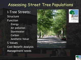 Assessing Street Tree Populations
i-Tree Streets:
Structure
Function
Energy
Air pollution
Stormwater
Carbon
Aesthetic Value
$ Values
Cost Benefit Analysis
Management needs
 