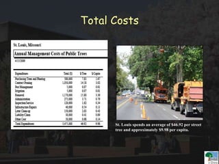 Total Costs
St. Louis spends an average of $46.92 per street
tree and approximately $9.98 per capita.
 