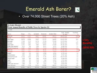 Emerald Ash Borer?
>18%
Benefits
($816,525)
• Over 74,000 Street Trees (20% Ash)
 