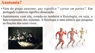 Anatomia?
• Vem do grego anatome, que significa '' cortar em partes''. Em
português a palavra significa dissecação.
• Junt...