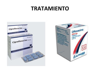 TRATAMIENTO 