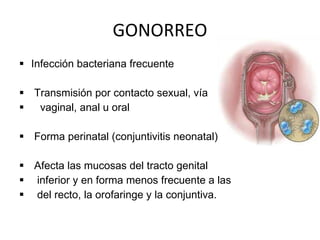 GONORREO Infección bacteriana frecuente Transmisión por contacto sexual, vía vaginal, anal u oral Forma perinatal (conjuntivitis neonatal) Afecta las mucosas del tracto genital  inferior y en forma menos frecuente a las del recto, la orofaringe y la conjuntiva. 