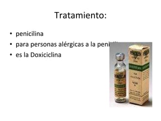 Tratamiento: penicilina  para personas alérgicas a la penicilina  es la Doxiciclina 