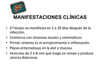 MANIFESTACIONES CLÍNICAS El herpes se manifiesta en 2 a 20 días después de la infección. Comienza con síntomas locales y sistemáticos Primer síntoma es el enrojecimiento e inflamación. Placas eritematosas en la piel y mucosa Vesículas de 2 a 8 mm que luego se rompe y produce ulceras dolorosas. 