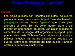 Ciprofloxacina, 500 mg vía oral, dosis única.