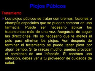 Acetilcefuroxime, 1 gramo vía oral, dosis única.