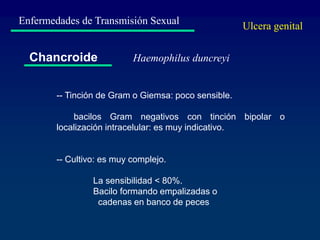 Enfermedades de Transmisión Sexual
Chancroide
-- Tinción de Gram o Giemsa: poco sensible.
bacilos Gram negativos con tinción bipolar o
localización intracelular: es muy indicativo.
-- Cultivo: es muy complejo.
La sensibilidad < 80%.
Bacilo formando empalizadas o
cadenas en banco de peces
Ulcera genital
Haemophilus duncreyi
 