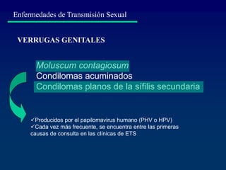 Enfermedades de Transmisión Sexual
Moluscum contagiosum
Condilomas acuminados
Condilomas planos de la sífilis secundaria
VERRUGAS GENITALES
Producidos por el papilomavirus humano (PHV o HPV)
Cada vez más frecuente, se encuentra entre las primeras
causas de consulta en las clínicas de ETS
 