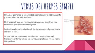 VIRUS DEL HERPES SIMPLE
El herpes genital es la enfermedad ulcerosa genital más frecuente
y es una infección vírica crónica.
El virus penetra en las terminaciones nerviosas sensitivas y se
transporta por vía axonal retrógrada
hasta el ganglio de la raíz dorsal, donde permanece latente hasta
el fin de la vida.
La reactivación espontánea por diversas causas provoca el
transporte anterógrado de las partículas/proteínas víricas hasta
la superficie.
 