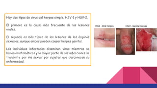 Hay dos tipos de virus del herpes simple, HSV-1 y HSV-2.
El primero es la causa más frecuente de las lesiones
orales.
El segundo es más típico de las lesiones de los órganos
sexuales, aunque ambos pueden causar herpes genital.
Los individuos infectados diseminan virus mientras se
hallan asintomáticos y la mayor parte de las infecciones se
transmite por vía sexual por sujetos que desconocen su
enfermedad.
 