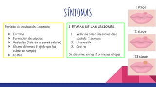SÍNTOMAS
Periodo de incubación: 1 semana
❖ Eritema
❖ Formación de pápulas
❖ Vesículas (lisis de la pared celular)
❖ Úlcera dolorosa (tejido que las
cubre se rompe)
❖ Costra
3 ETAPAS DE LAS LESIONES
1. Vesícula con o sin evolución a
pústula: 1 semana
2. Ulceración
3. Costra
Se disemina en las 2 primeras etapas
 