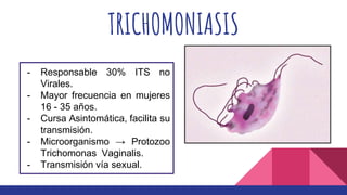 TRICHOMONIASIS
- Responsable 30% ITS no
Virales.
- Mayor frecuencia en mujeres
16 - 35 años.
- Cursa Asintomática, facilita su
transmisión.
- Microorganismo → Protozoo
Trichomonas Vaginalis.
- Transmisión vía sexual.
 
