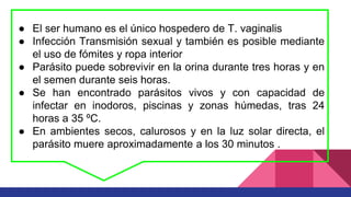 ● El ser humano es el único hospedero de T. vaginalis
● Infección Transmisión sexual y también es posible mediante
el uso de fómites y ropa interior
● Parásito puede sobrevivir en la orina durante tres horas y en
el semen durante seis horas.
● Se han encontrado parásitos vivos y con capacidad de
infectar en inodoros, piscinas y zonas húmedas, tras 24
horas a 35 ºC.
● En ambientes secos, calurosos y en la luz solar directa, el
parásito muere aproximadamente a los 30 minutos .
 