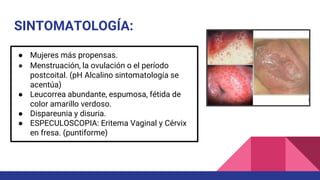 SINTOMATOLOGÍA:
● Mujeres más propensas.
● Menstruación, la ovulación o el período
postcoital. (pH Alcalino sintomatología se
acentúa)
● Leucorrea abundante, espumosa, fétida de
color amarillo verdoso.
● Dispareunia y disuria.
● ESPECULOSCOPIA: Eritema Vaginal y Cérvix
en fresa. (puntiforme)
 