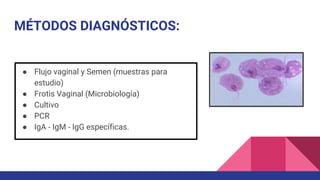 MÉTODOS DIAGNÓSTICOS:
● Flujo vaginal y Semen (muestras para
estudio)
● Frotis Vaginal (Microbiología)
● Cultivo
● PCR
● IgA - IgM - IgG específicas.
 