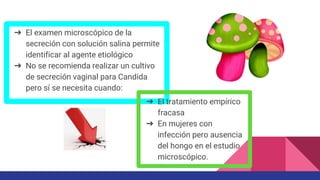 ➔ El examen microscópico de la
secreción con solución salina permite
identificar al agente etiológico
➔ No se recomienda realizar un cultivo
de secreción vaginal para Candida
pero sí se necesita cuando:
➔ El tratamiento empírico
fracasa
➔ En mujeres con
infección pero ausencia
del hongo en el estudio
microscópico.
 