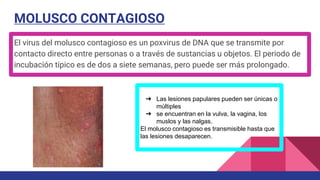 MOLUSCO CONTAGIOSO
El virus del molusco contagioso es un poxvirus de DNA que se transmite por
contacto directo entre personas o a través de sustancias u objetos. El periodo de
incubación típico es de dos a siete semanas, pero puede ser más prolongado.
➔ Las lesiones papulares pueden ser únicas o
múltiples
➔ se encuentran en la vulva, la vagina, los
muslos y las nalgas.
El molusco contagioso es transmisible hasta que
las lesiones desaparecen.
 