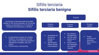 Sífilis terciaria
Sífilis terciaria benigna
Las lesiones cutaneomucosas de la sífilis
afectan al 16% de los hombres y al 14% de las
mujeres, en pormedio con 11-12 años de
evolución con extremos de 1-46 años
● la tuberculosis cutanea son nodulos
indoloros, no pruriginosos, de color
rojo cobrizo, de 5-30mm de diametro y
dispuestos en espalda, cara y los
brazos
● Evolucionana a ulceraciones
El goma
El goma
mucoso
El goma
cutáneo
El goma
genital
● se localizan en
la boca, la
faringe, la
laringe
● genera lesión
lingual, fisuras
y leucoplaquia
● son nódulos
hipodérmicos
● de color rojizo
cobrizo de 2-
10mm
● Evoluciona a
una ulceración
con material
caseoso
● Puede
provocar una
ulceración
llama chancro
redux
 
