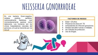 NEISSERIA GONORRHOEAE
Es una bacteria Gram-negativa,
oxidasa positiva, aeróbica,
nutricionalmente fastidiosa, que
microscópicamente aparece como
diplococos. Los humanos son los
únicos hospedadores naturales del
gonococo, el cual se transmite por vía
sexual
● Edad < 25 años.
● Presencia de otras enf. TS
● Antecedentes de infección gonocócica.
● Parejas sexuales nuevas o múltiples.
● Sin metodos de proteccion.
● Uso de drogas.
FACTORES DE RIESGO
 