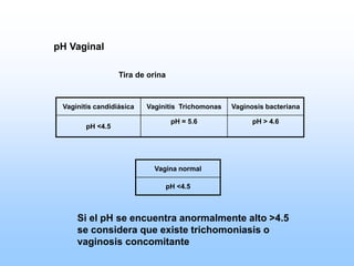 pH Vaginal
Vaginitis candidiásica Vaginitis Trichomonas Vaginosis bacteriana
pH <4.5
pH = 5.6 pH > 4.6
Tira de orina
Vagina normal
pH <4.5
Si el pH se encuentra anormalmente alto >4.5
se considera que existe trichomoniasis o
vaginosis concomitante
 