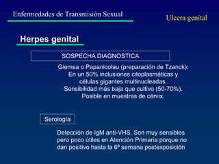 Enfermedades de Transmisión Sexual
Herpes genital
Giemsa o Papanicolau (preparación de Tzanck):
En un 50% inclusiones citoplasmáticas y
células gigantes multinucleadas.
Sensibilidad más baja que cultivo (50-70%).
Posible en muestras de cérvix.
SOSPECHA DIAGNOSTICA
Detección de IgM anti-VHS. Son muy sensibles
pero poco útiles en Atención Primaria porque no
dan positivo hasta la 6ª semana postexposición
Serología
Ulcera genital
 