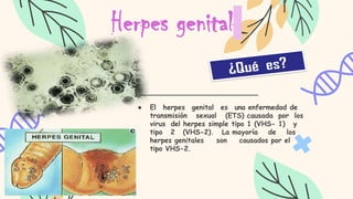 Herpes genital
● El herpes genital es una enfermedad de
transmisión sexual (ETS) causada por los
virus del herpes simple tipo 1 (VHS- 1) y
tipo 2 (VHS-2). La mayoría de los
herpes genitales son causados por el
tipo VHS-2.
 