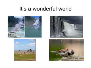 It’s a wonderful world 
