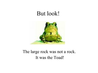 But look! The large rock was not a rock.  It was the Toad! 
