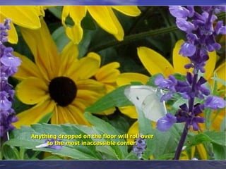 Anything dropped on the floor will roll over to the most inaccessible corner. 