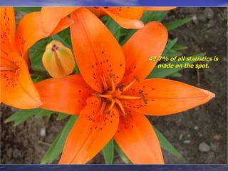 42.7% of all statistics is made on the spot. 