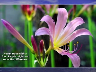 Never argue with a fool. People might not know the difference. 