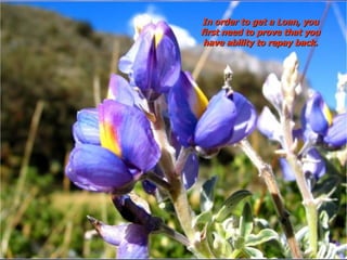 In order to get a Loan, you first need to prove that you have ability to repay back. 