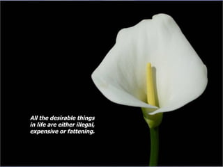 All the desirable things in life are either illegal, expensive or fattening. 